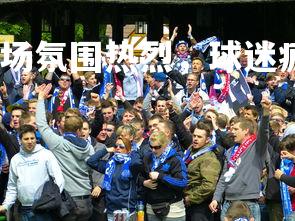 易胜博体育-比赛现场氛围热烈，球迷疯狂欢呼，球迷看球赛的场面描写